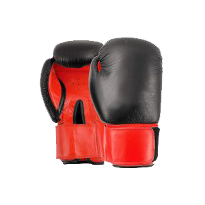 Boxing Gloves